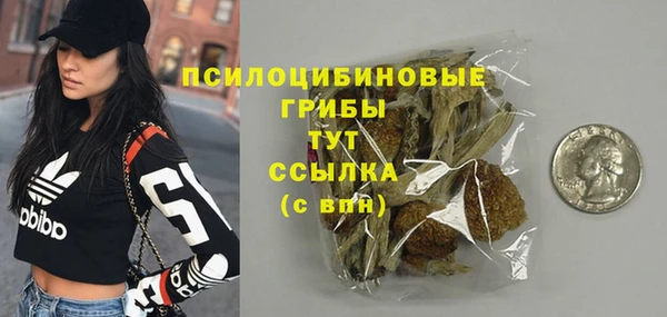 прущий лед Армянск