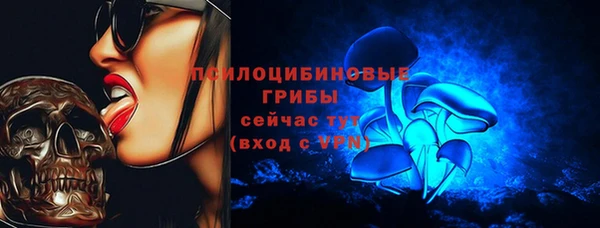 гашик Аркадак