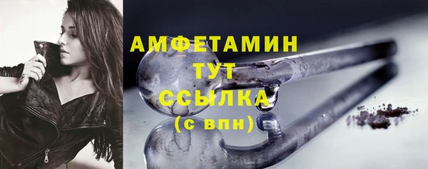 гашик Аркадак