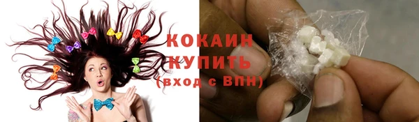эйфоретик Арсеньев