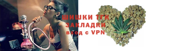 гашик Аркадак