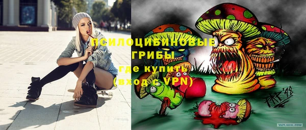 прущий лед Армянск