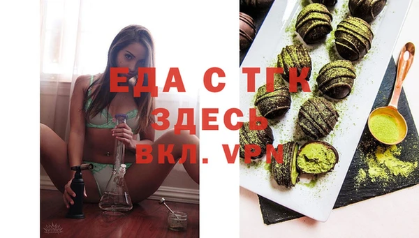 гашик Аркадак