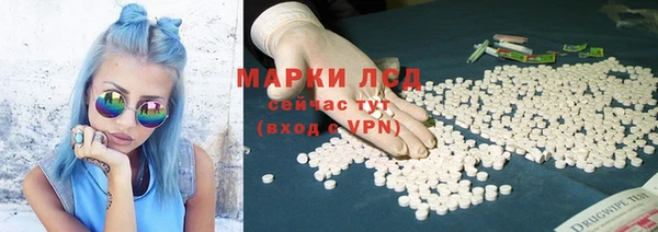 гашик Аркадак