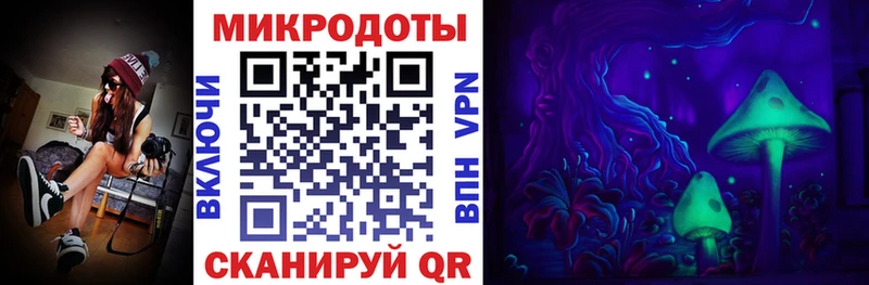 Псилоцибиновые грибы Psilocybine cubensis Северо-Курильск